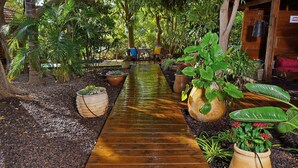 Un sendero de madera conduce a una estructura rústica de madera, rodeada de abundante follaje y plantas en macetas.