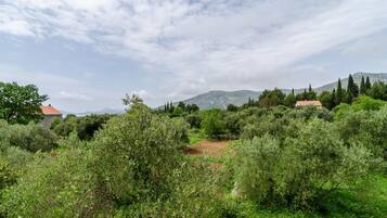 Ländliche Landschaft mit dichter Vegetation, vereinzelten Gebäuden und einem Berg im Hintergrund.