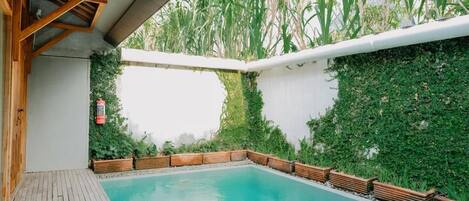 A swimming pool with a wooden deck, surrounded by greenery and a white wall.