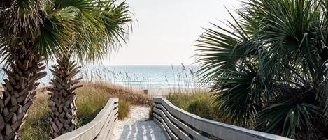 Playa en los alrededores