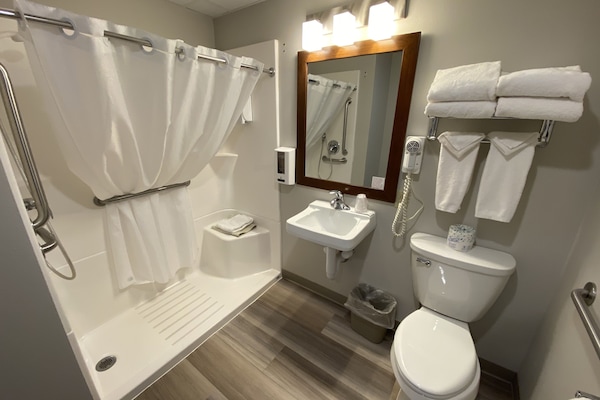 Chambre | Salle de bain | Ensemble baignoire-douche, séchoir à cheveux, serviettes fournies, savon