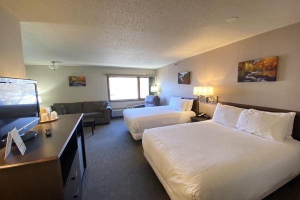 Suite 2 Queens, Recliner, Pullout Sofa | Free WiFi, bed sheets