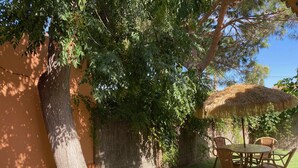 Une terrasse avec une table et des chaises, un parasol en chaume et un arbre.