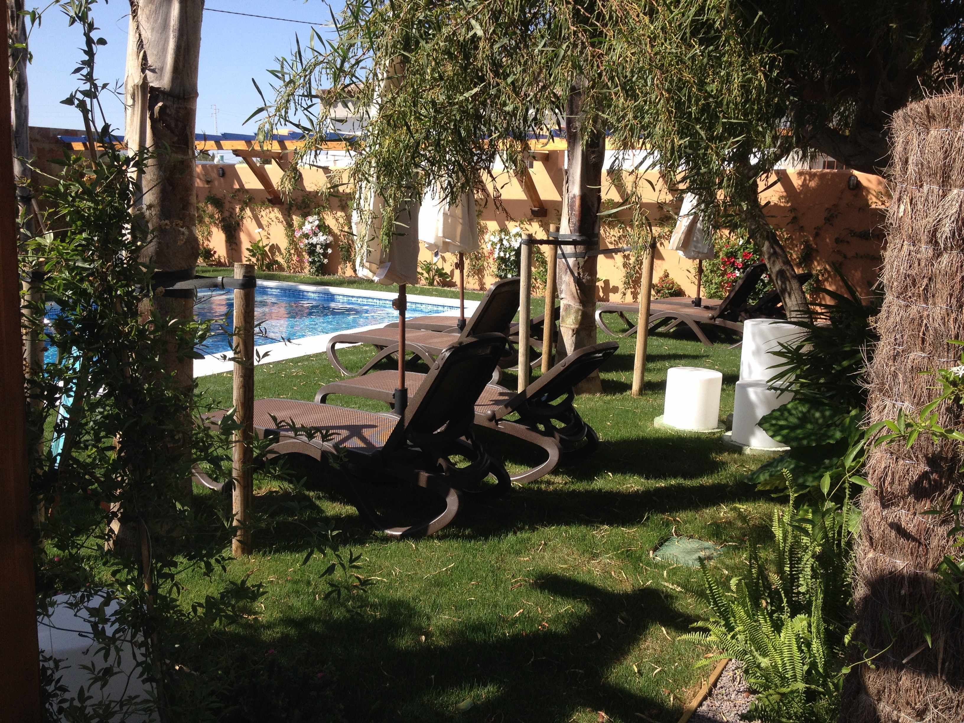 A backyard with a swimming pool, lounge chairs, and a pergola.