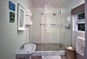 Shower, towels, soap, toilet paper