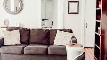 Smart TV, DVD player, books