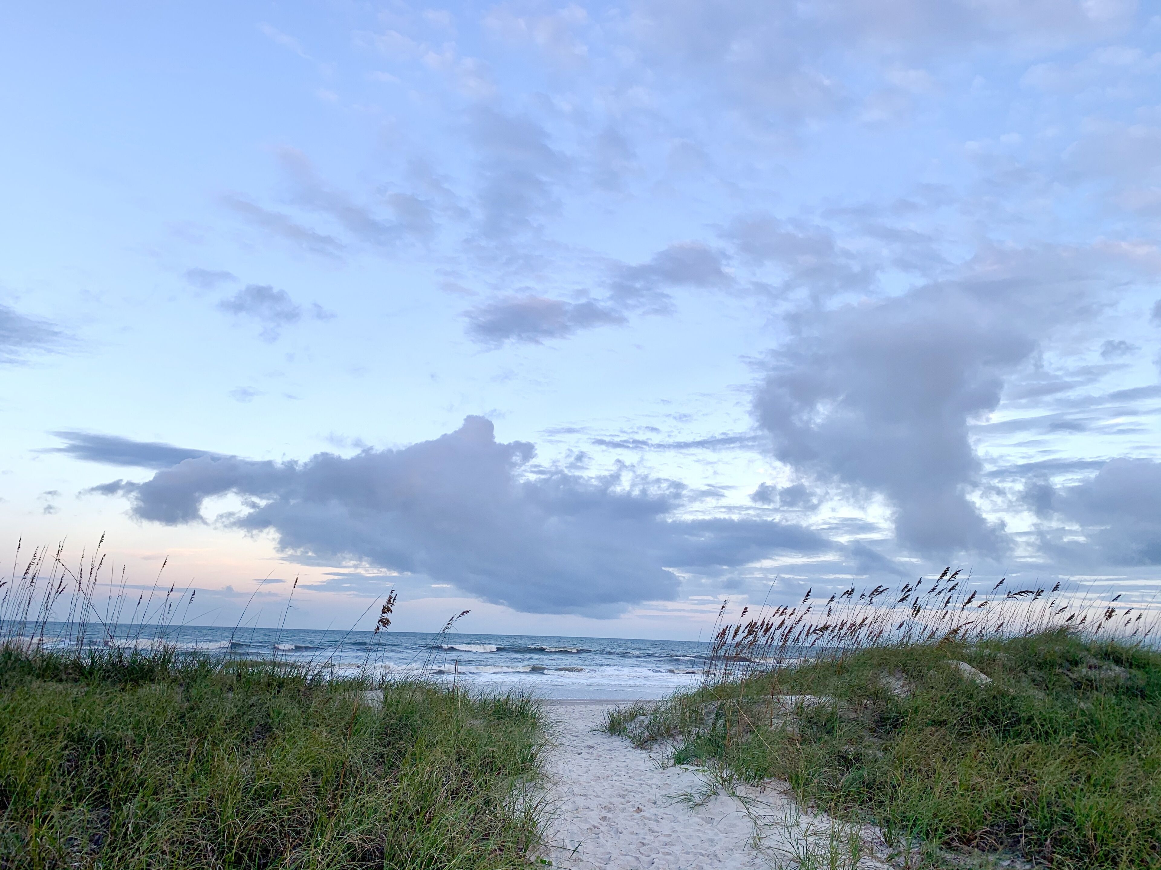 Plage, chaises longues, serviettes de plage
