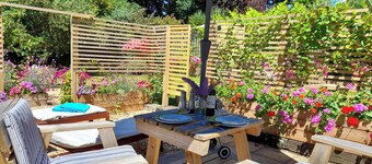 Forest Palms Studio New Forest National Park.