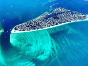 Pool - One Particular Harbour by AMI Locals (Bradenton)