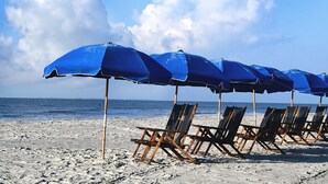 A beach with rows of blue umbrellas and wooden lounge chairs. - Awesome Ocean View! Coligny Area! Updated and CLEAN 1 Bedroom! #380 (Hilton Head Island)