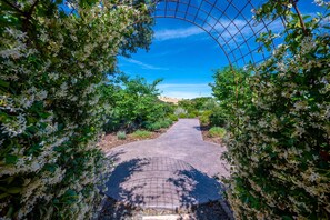 Uma trilha ladeada por arbustos floridos e um arco de metal, serpenteando por um jardim paisagístico.