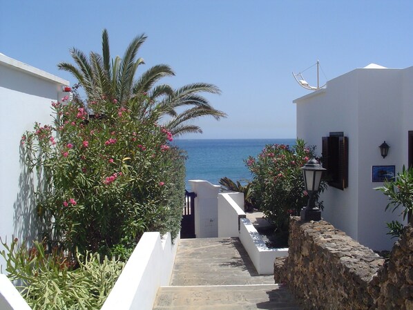 Property grounds - Comfort bungalow (1st row) in exclusive complex directly by the sea/beach pool (Playa Honda)