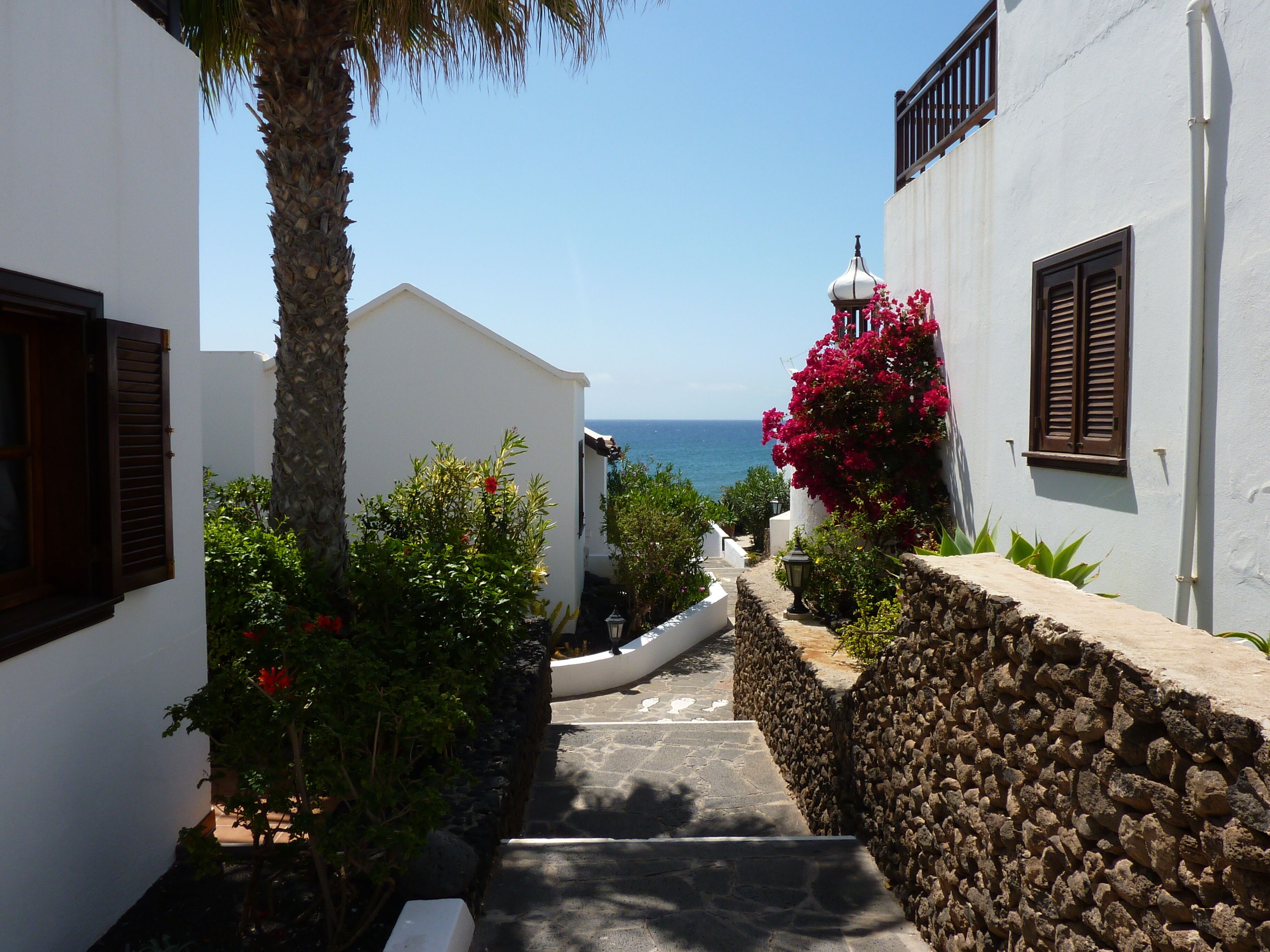 Un étroit sentier de pierres mène à un bâtiment blanc d’où l’on a une vue sur la mer.