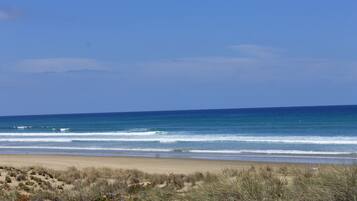Plage, chaises longues