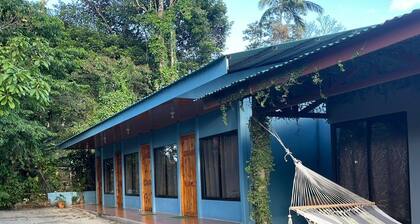 Rio Celeste Dreams