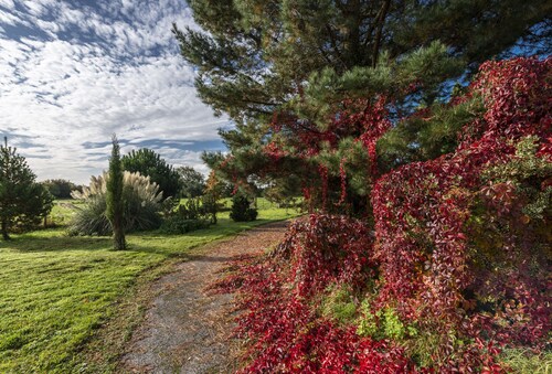 A marketing that sleeps 2 guests  in 1 bedroom