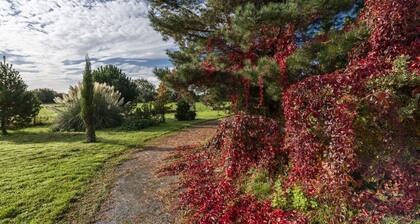 A marketing that sleeps 2 guests in 1 bedroom
