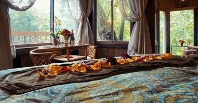 Unique Treehouse With Spectacular View.