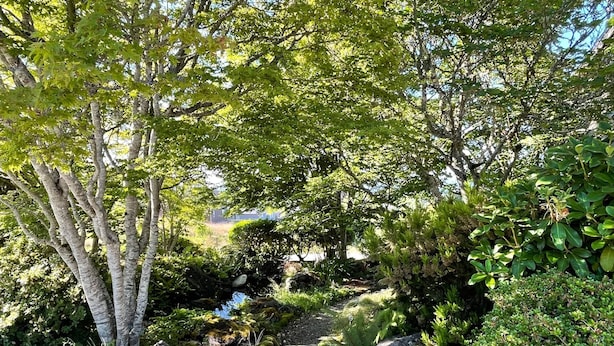 A stone pathway leading through a garden with trees and shrubs. - Oceanview | Big Deck | Modern Home - Crash Pad BnB (Port Angeles)