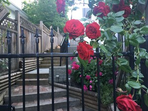 Exterior detail - Starlight Poolside ~ 1 bedroom suite (Coquitlam)