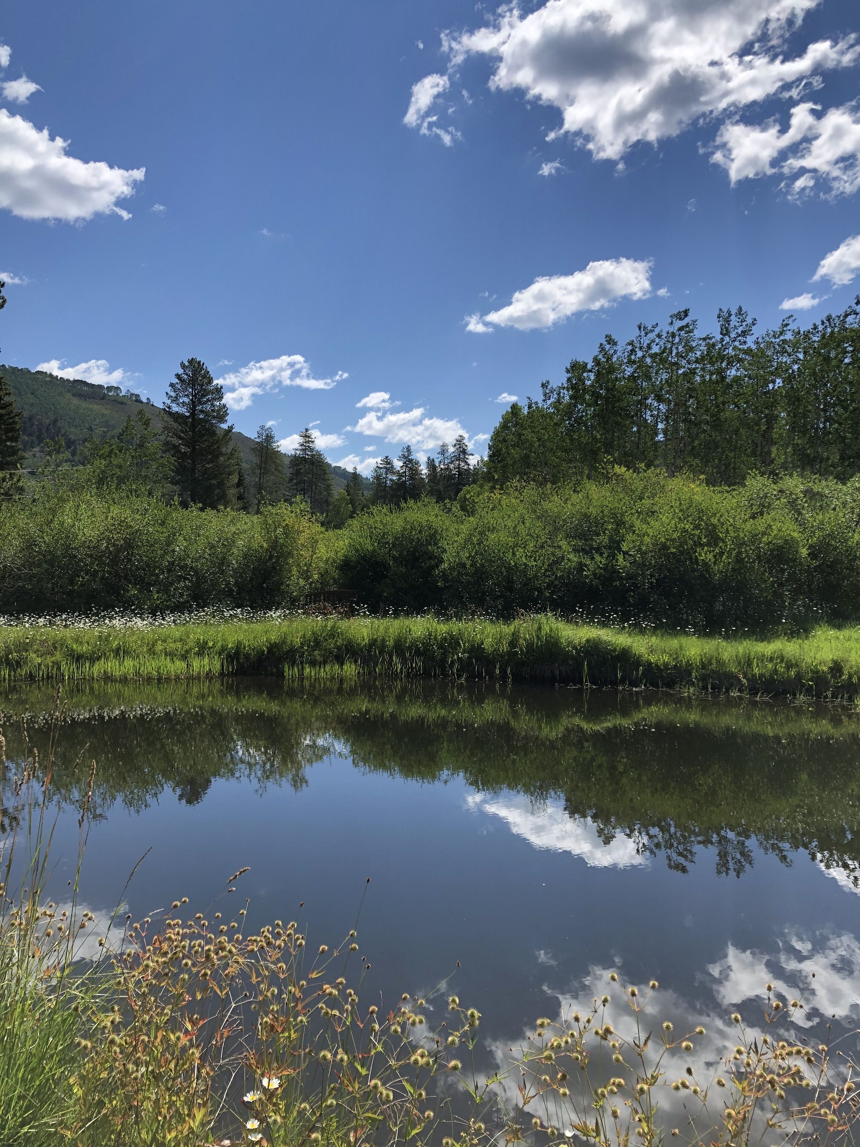 Un paisaje sereno con un lago tranquilo que refleja el cielo y la vegetación circundante.