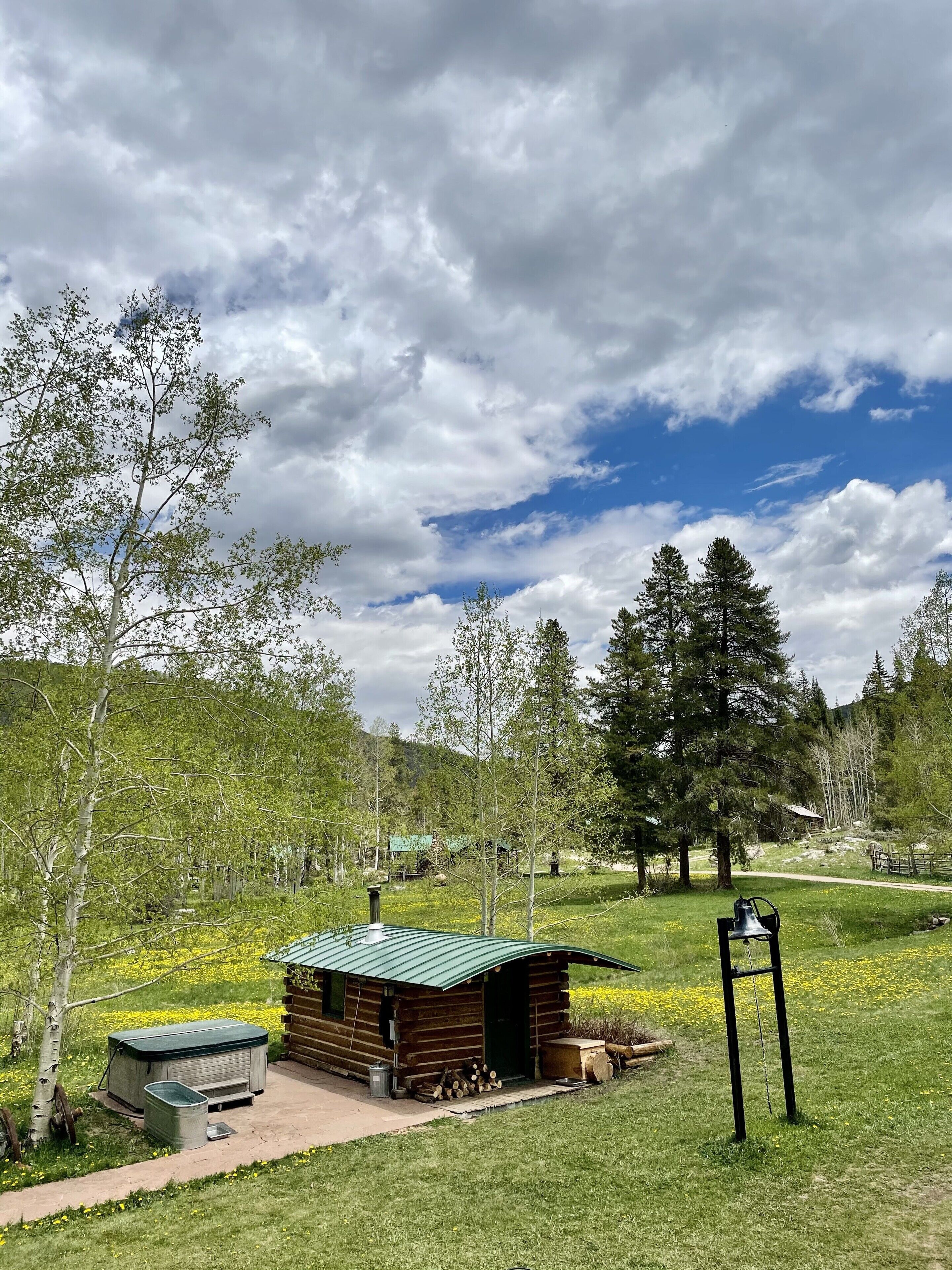 A rustic cabin with a green roof, surrounded by a grassy area with yellow flowers and trees.