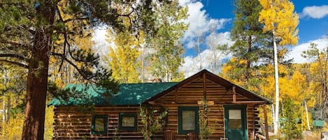 Cabaña, vista a la montaña (Hermitage) | 1 habitación y ropa de cama