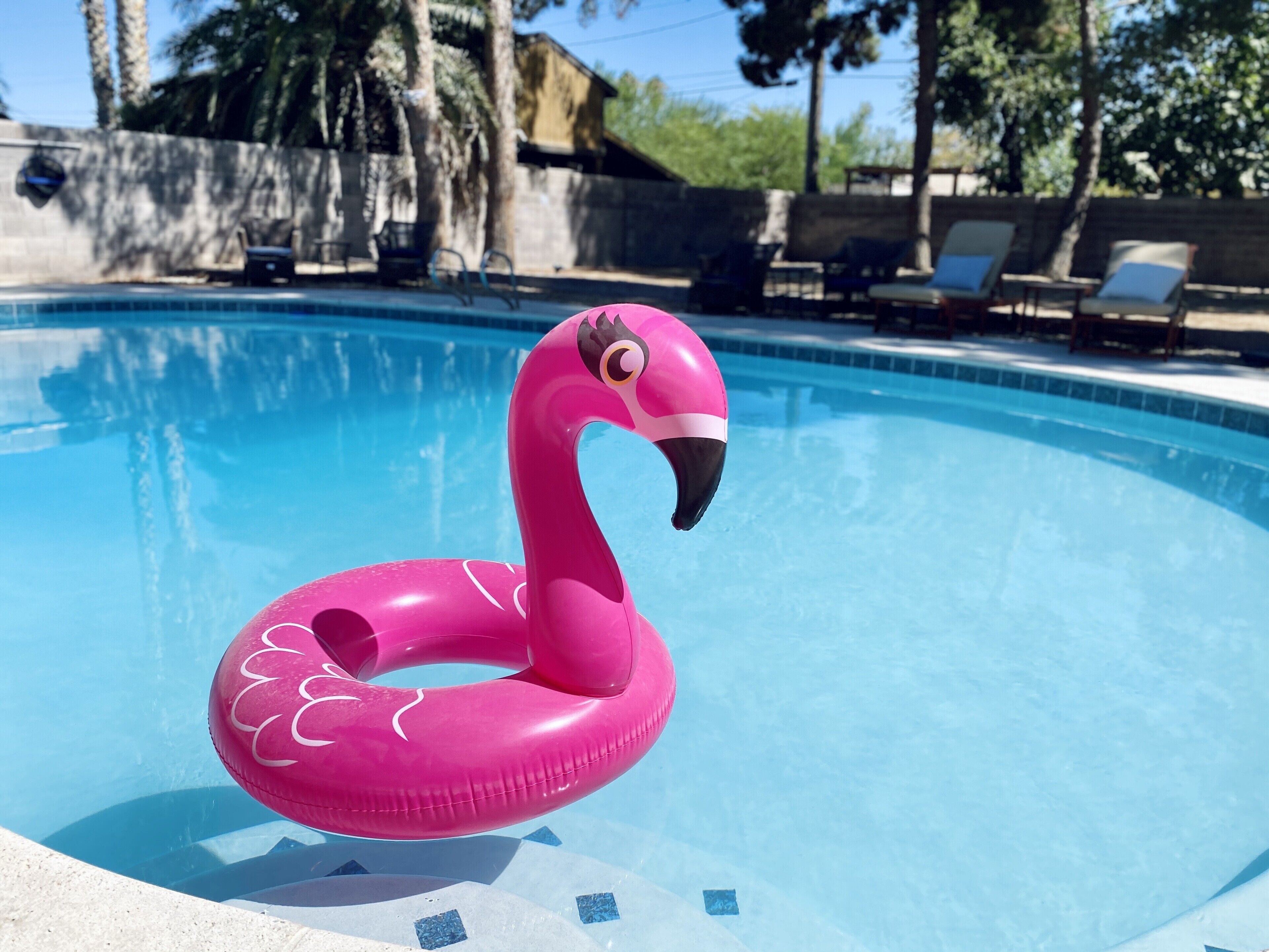 Modern Ranch 7 Bedroom House close to strip