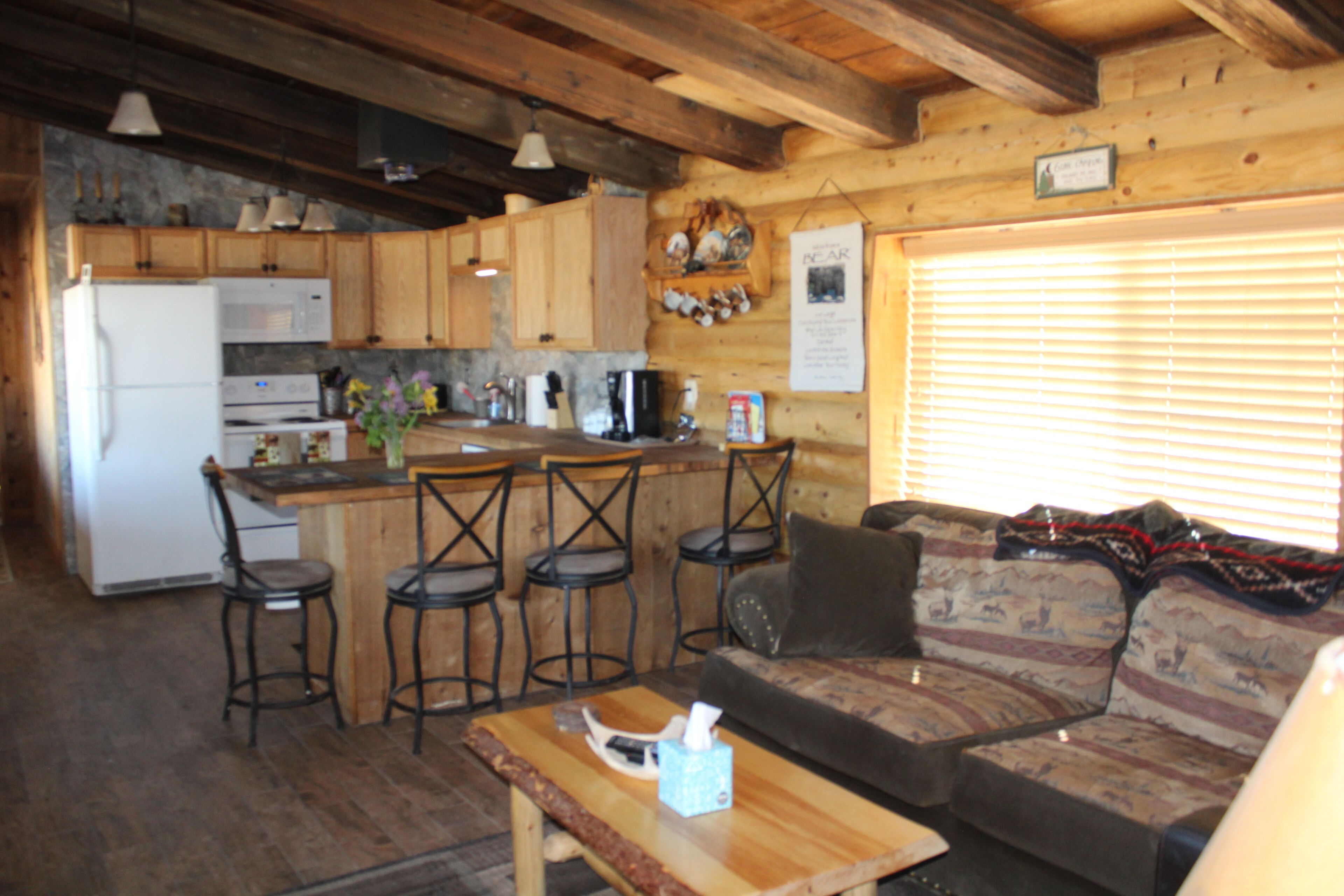 Cute 2 bedroom cabin in Kingston NV