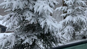 A snowy landscape with evergreen trees and a clear sky. - Mountain Song - Villa with a View  (Beech Mountain)