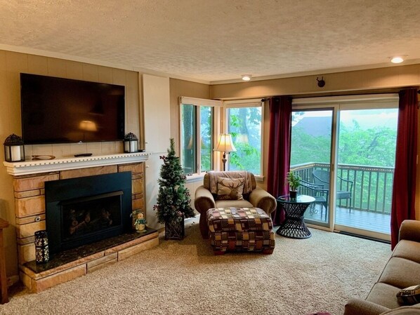 Smart TV, fireplace, books, stereo