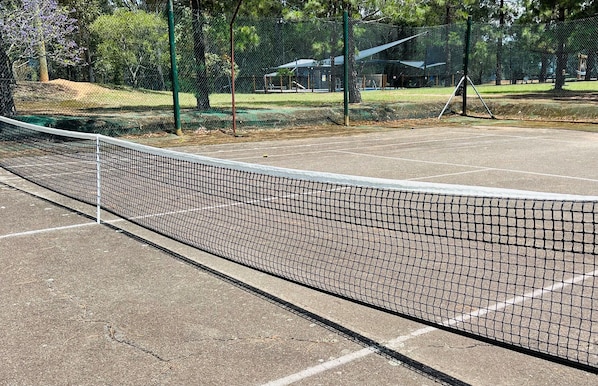 Cancha de tenis con una red, rodeada de árboles y una valla.