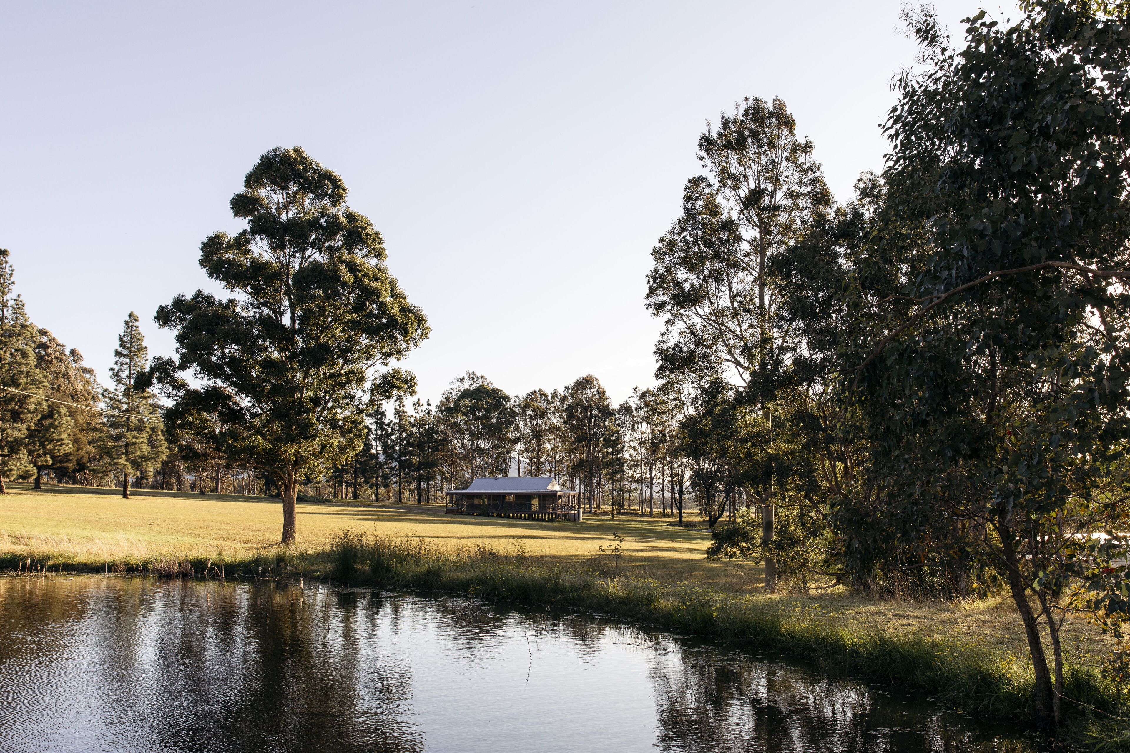 A lakeside view with a house and trees.