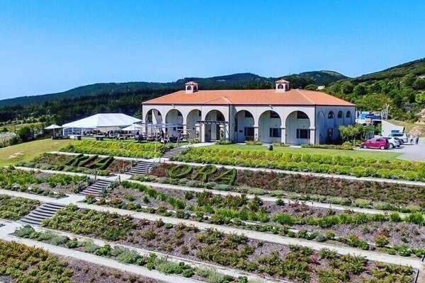 Karikari Winery and Cafe