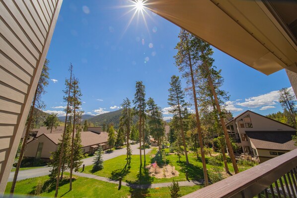 Property grounds - Charming 1B Condo, Shuttle to Slopes, Indoor Pool (Keystone)