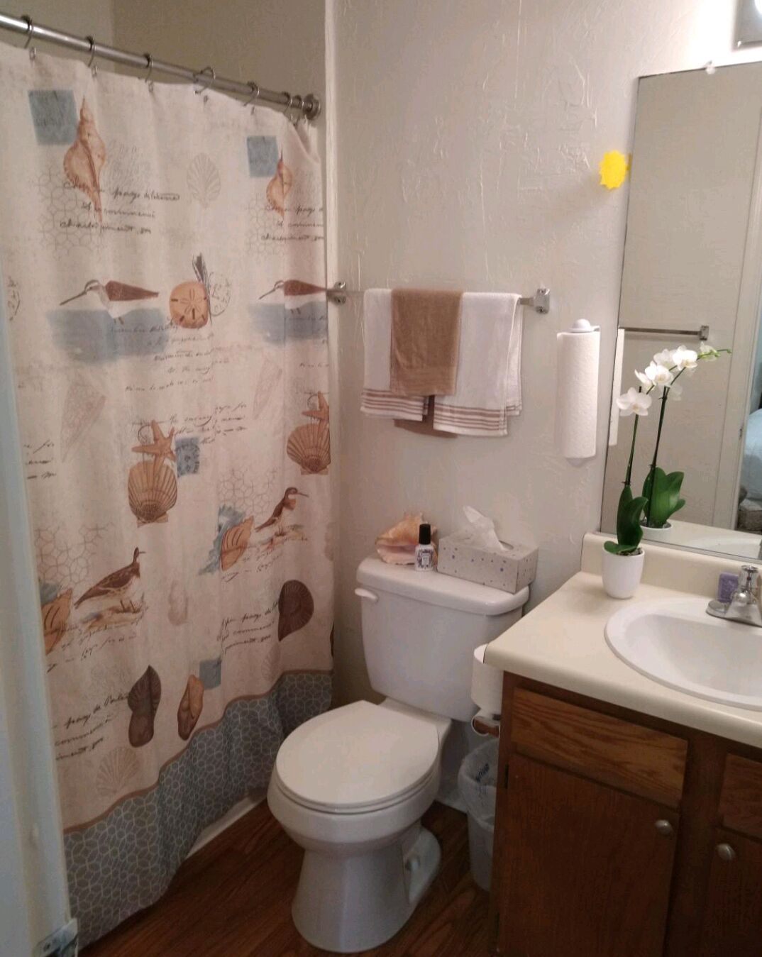 Sèche-cheveux, serviettes fournies