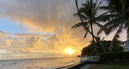 Tranquil Sandy Beachfront - minimal beach traffic. Like your own private beach