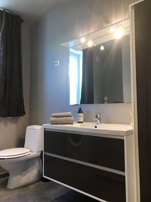 A modern bathroom with a white toilet, a sink with a mirror above it, and a dark cabinet below. - Notodden Sentrum Apartment NO 10 (Notodden)