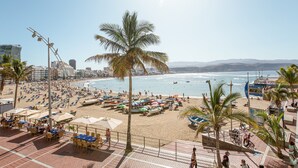 Ein Strand mit Palmen, Sonnenschirmen und Liegestühlen.