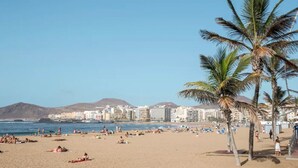 Une plage bordée de palmiers, des gens qui prennent un bain de soleil et des bâtiments en arrière-plan.