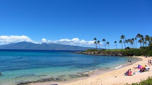On the beach, beach towels, snorkeling - Kapalua Ridge Villa 1214 Gold Ocean View (Lahaina)