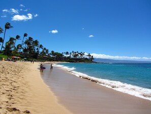 On the beach, beach towels, snorkeling - Kapalua Ridge Villa 1214 Gold Ocean View (Lahaina)