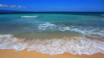 On the beach, snorkeling, windsurfing