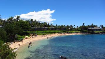 On the beach, snorkeling