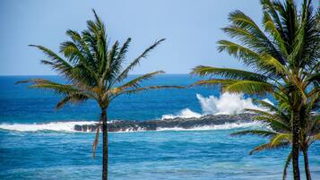 On the beach, beach towels, snorkeling, windsurfing