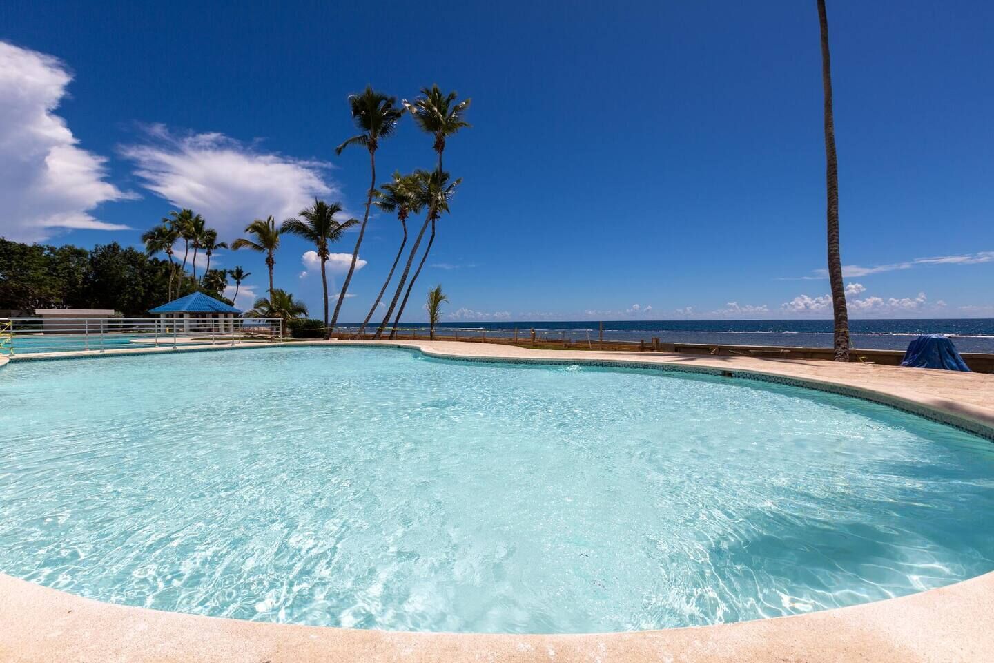 Una piscina blu cristallina con bordo curvo, circondata da palme e vista sulla spiaggia.