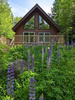 Une cabane dotée d’une terrasse en bois, entourée d’une végétation luxuriante et de fleurs violettes.