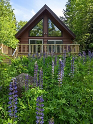 Lupine Lodge - Adorable, newly renovated cottage, with water access and dock on Loon Lake