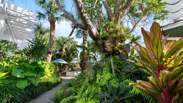 A lush garden with a variety of tropical plants and a pergola structure. - Plumeria Villa by Beach Boutique Rentals (Holmes Beach)