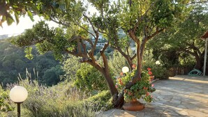 A stone patio with a tree and flowering plants, surrounded by a lush garden and a view of a hilly landscape. - Paradise Found - A Greek Retreat With The View (Skopelos)